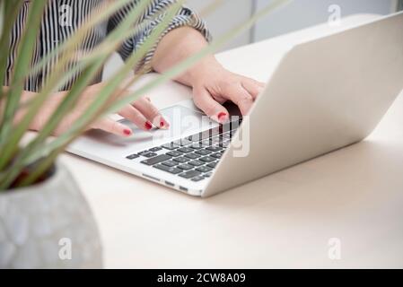 Candid close-up of female hands with red nails typing on the keyboard of her laptop computer in a home setting. Stock Photo