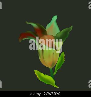 Photo realistic vector beautiful red lily in vintage style. Vintage antique red background with lilies. Stock Vector