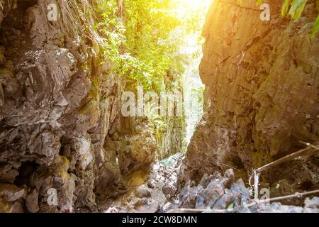 Gorge in the tropical mountains. Jungle, access to the lagoon on top of the cliffs of the Railay Peninsula. Sunny day Stock Photo