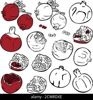 Vector set of different pomegranates isolated. Ripe, sliced and silhouettes pomegranates. Concept for fruit store. Stock Vector