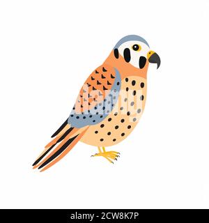 Kestrel bird. Vector illustration Isolated on white background. Stock Vector
