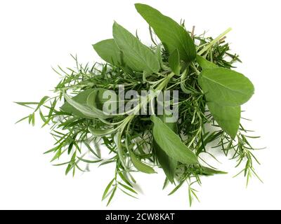 FreshTarragon with Rosemary and Sage Bundle isolated on white Background Stock Photo