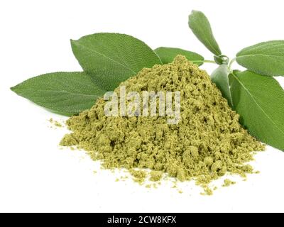 Fresh Sage with Sage Powder isolated on white Background Stock Photo
