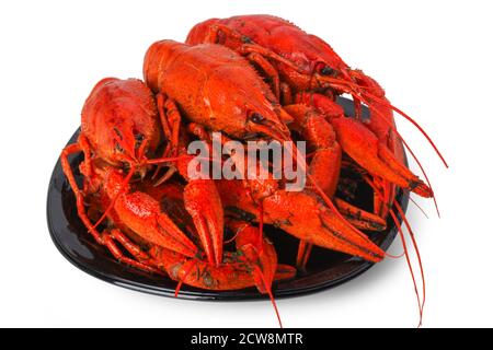 Red boiled crayfish on black porcelain plate isolated on white background Stock Photo