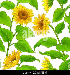 sunflower vector pattern Stock Vector