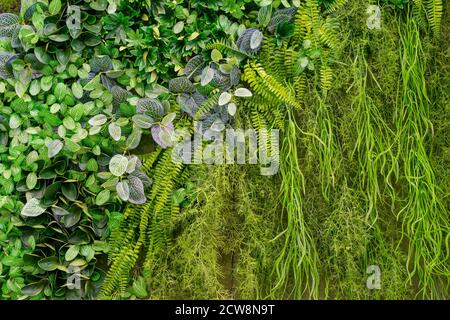 Background of green plants from plastic. Artificial decorative texture. Stock Photo