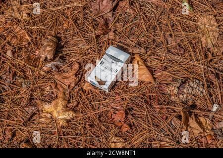 Empty box of a pack of Winston cigarettes laying on the ground littering the park polluting the environment on a bright sunny day in autumn Stock Photo