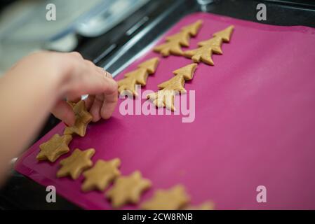 Closeup view of female hand placing winter holiday shaped cookies on a baking tray lined with pink silicone. Stock Photo