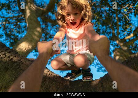 Father helping son climb a tree. Little kid boy trying to climb a tree. Parent holds the hand of a child. Stock Photo