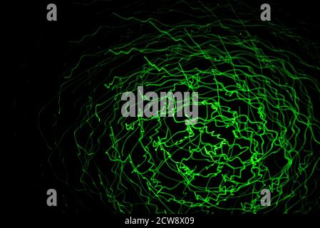 Abstract lines of green laser light on black background Stock Photo