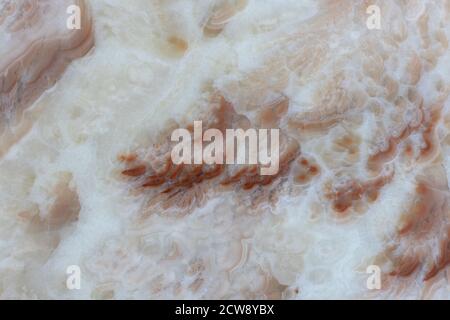 Interior background, texture, pastel pink, beige marble surface. Trendy interior decor concept. Template for fashion or jewelry store. Horizontal form Stock Photo