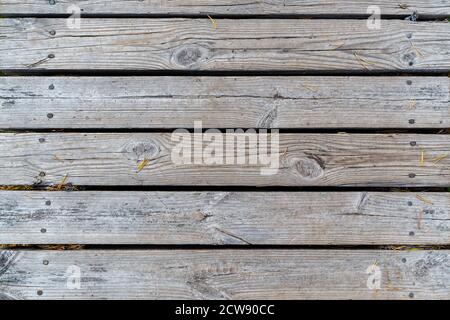 Pine needles on aged, weathered and gray wood boards, top view. High resolution full frame textured background. Viewed from above. Stock Photo