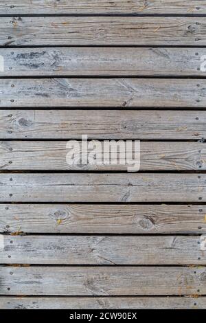 Pine needles on aged, weathered and gray wood boards, top view. High resolution full frame textured background. Viewed from above. Stock Photo