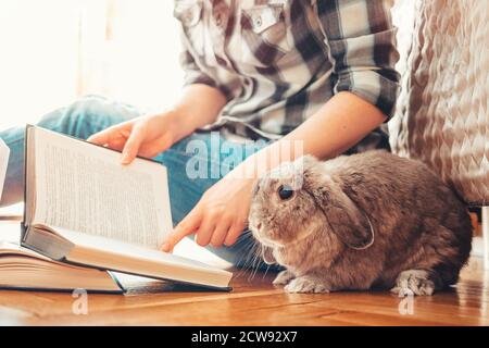 A female person sits on the floor and shows a book to a rabbit. Side view. Close up. Concept of reading and education. Stock Photo