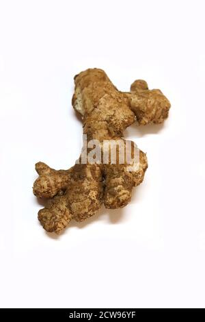 fresh ginger isolated on white backgrounds Stock Photo