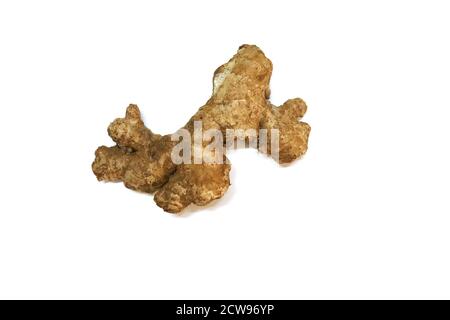 fresh ginger isolated on white backgrounds Stock Photo