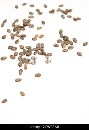 dried watermelon seeds isolated on white backgrounds Stock Photo