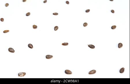 Watermelon seeds, macro isolated on white background Stock Photo