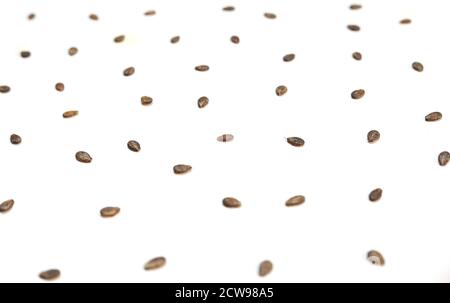 Watermelon seeds, macro isolated on white backgrounds Stock Photo