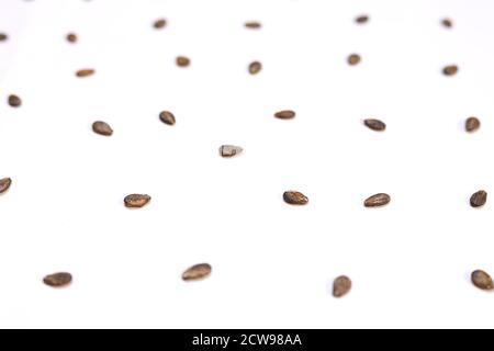 Watermelon seeds isolated on white background. Flat lay. Black seed Pattern. Stock Photo