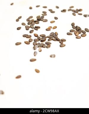 Watermelon seeds, macro isolated on white background, Stock Photo