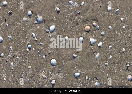 Sand from the beach Stock Photo