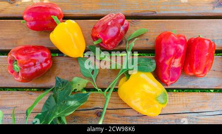 Red and yellow ripe freshly picked peppers on the wooden bench Stock Photo
