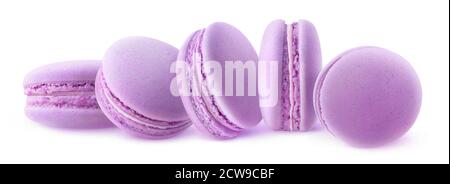 Five blueberry macaroons in a row isolated on white background Stock Photo