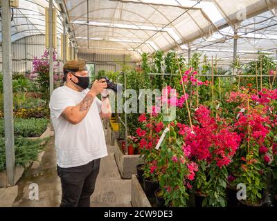 Male photographer in a greenhouse Stock Photo