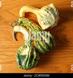 Mini pumpkins and gourds Stock Photo
