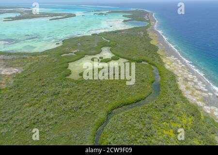 Aerial Landscape mangrove forest surrounded by blue water in Caribbean island in Los Roques Venezuela Stock Photo