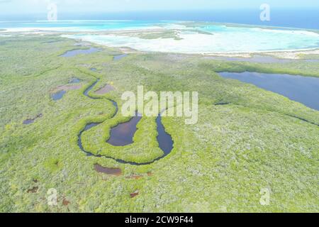 Aerial Landscape mangrove forest surrounded by blue water in Caribbean island in Los Roques Venezuela Stock Photo