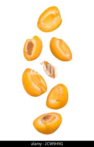 Falling apricots isolated on a white background. Flying fruits in the air Stock Photo