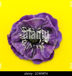 handmade felt, flowers, purple flower on a yellow background Stock Photo
