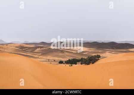 Sahara desert landscape with sand dunes and oasis. Travel in Morocco, Merzouga. Nature empty background. Middle of nowhere. Stock Photo