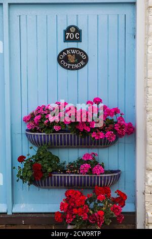 England, Kent, Deal, Colourful Doorway with Flowers Stock Photo