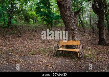 Picnic site with wooden table and benches in forest Stock Photo