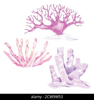 Set of various neon cartoon corals. The object is separate from the background. Illustration for printing on T-shirts, covers, stickers and your desig Stock Vector