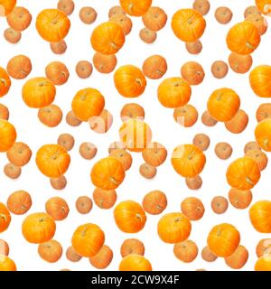 Seamless pattern with pumpkin. Autumn abstract seamless pattern made from Pumpkins on the white background. Pumpkin quality pattern. Stock Photo