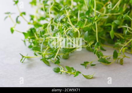 Fresh organic green thyme close up Stock Photo