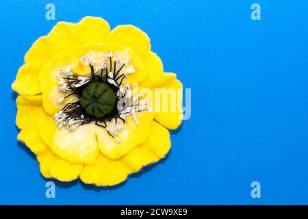 handmade felt, flowers, yellow flower on blue background Stock Photo