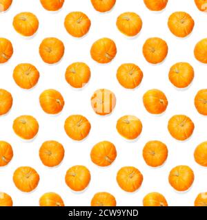 Seamless pattern with pumpkin. Autumn abstract seamless pattern made from Pumpkins on the white background. Pumpkin quality pattern. Stock Photo