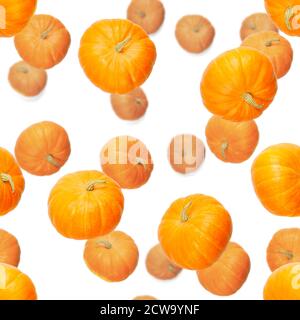 Seamless pattern with pumpkin. Autumn abstract seamless pattern made from Pumpkins on the white background. Pumpkin quality pattern. Stock Photo