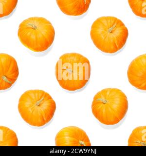 Seamless pattern with pumpkin. Autumn abstract seamless pattern made from Pumpkins on the white background. Pumpkin quality pattern. Stock Photo