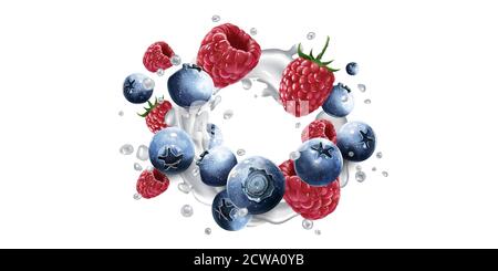Blueberries and raspberries in splashes of yogurt or milk. Stock Vector