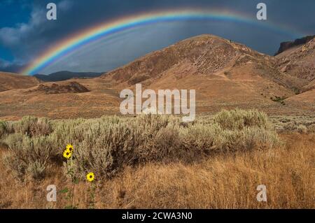 Rainbow over Steens Mountain, Alvord Desert, part of Great Basin Desert, Oregon, USA Stock Photo