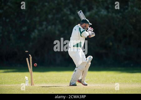 Cricket batsman bowled out. Stock Photo