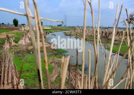 Jute Industry is one of the oldest industries in West Bengal. Nearly 40 ...
