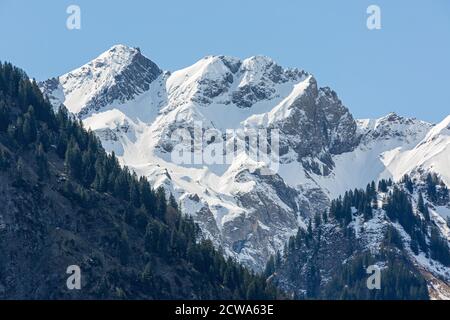 Allgäuer Berge, Oberstdorf, Stillachtal, Baumgrenze, Frühling; Berge, verschneit; Bayern, Deutschland Stock Photo