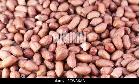 Heap of raw peanuts. Cultivated peanuts, underground or groundnuts. Plant of the legume family. Agricultural crop on an industrial scale. South Americ Stock Photo